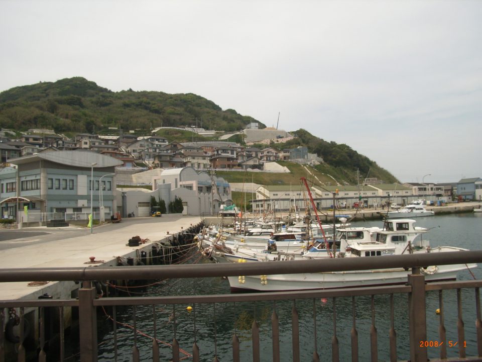 地震から立ち直った戸建て住宅や共同住宅が立ち並ぶ玄界島の光景です。